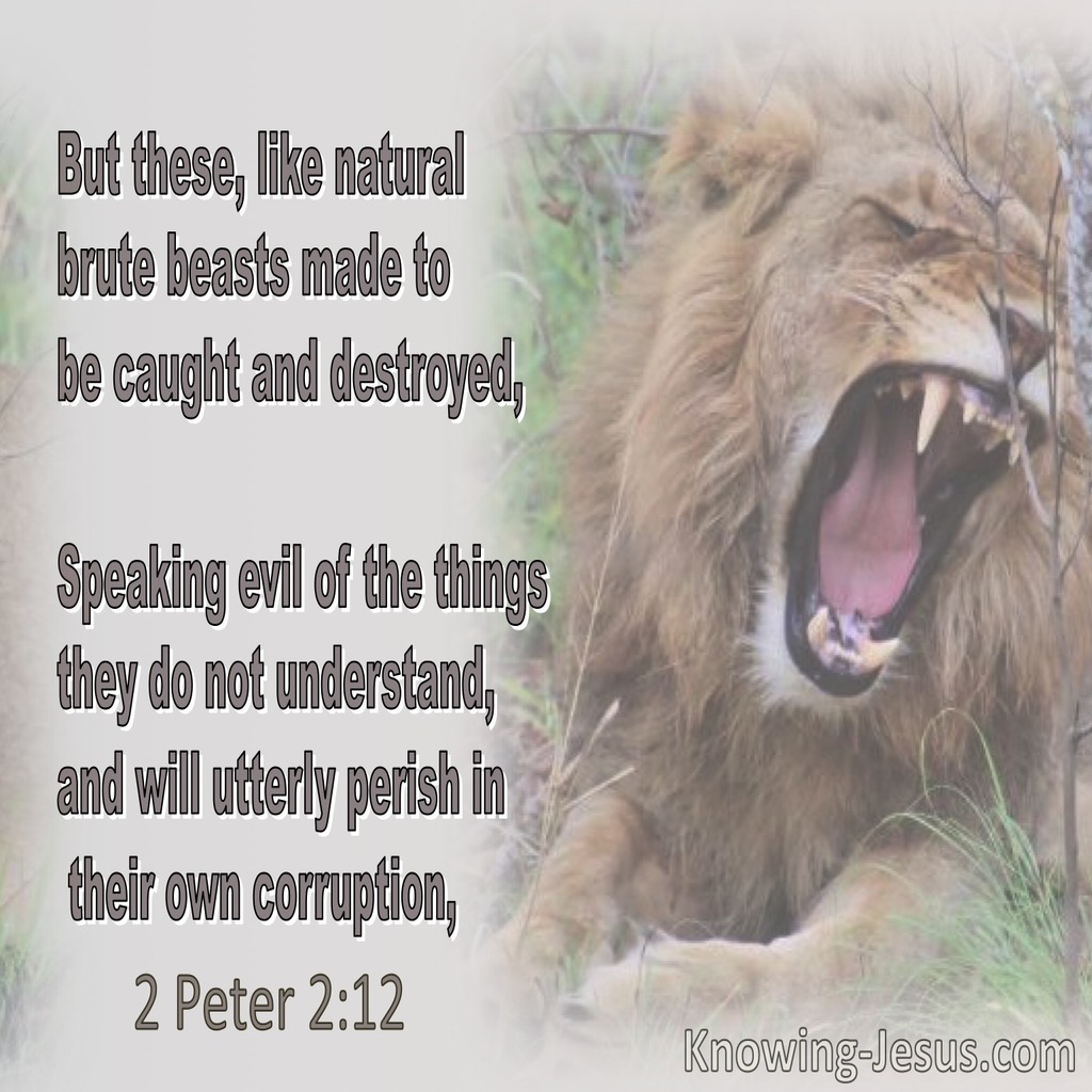 2 Peter 2:12 Brute Beasts Speaking Evil Of Things They Do Not Understand Will Perish In Their Own Corruption (brown)